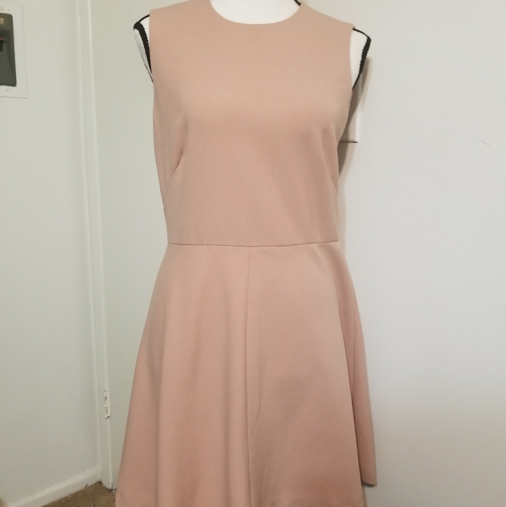 Red Valentino Pink A. Line Dress